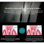 Electric Toothbrushes With extra Brush Heads Gift-BLACK - Image 3