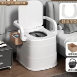 Adult Potty / Toilet Indoor