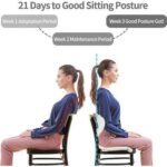 Ergonomic Lumbar Support Pillow for Office Chair Back Pain Relief Seat Cushion - Image 2